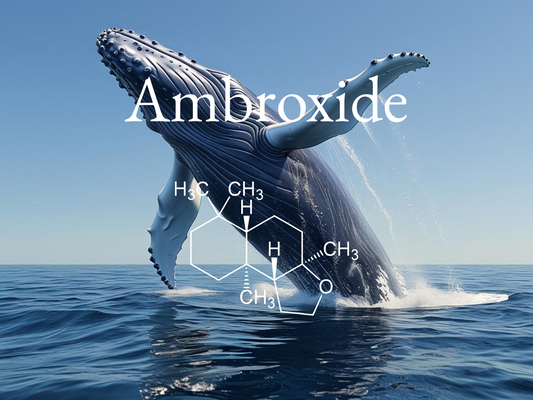 Ambroxide