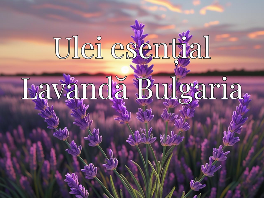Ulei esențial Lavandă Bulgaria