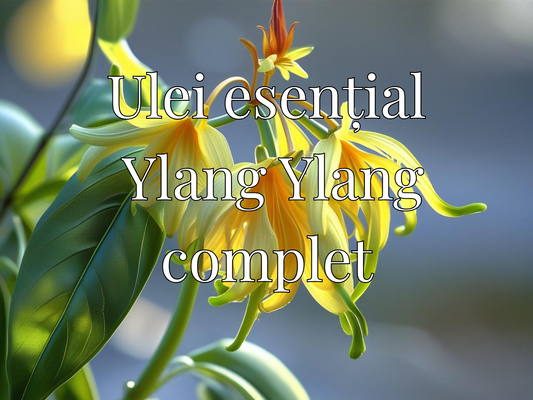 Ulei esențial Ylang Ylang complet