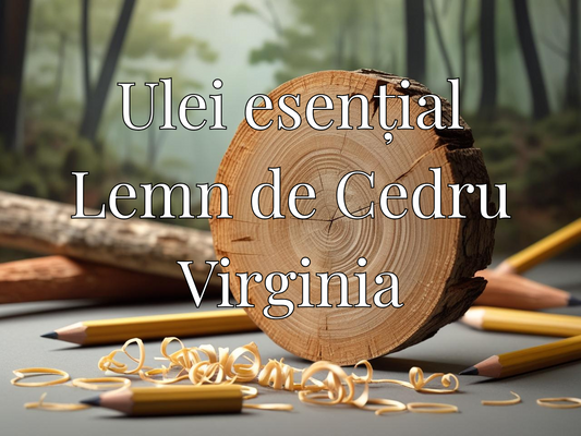 Ulei esențial Lemn de Cedru Virginia