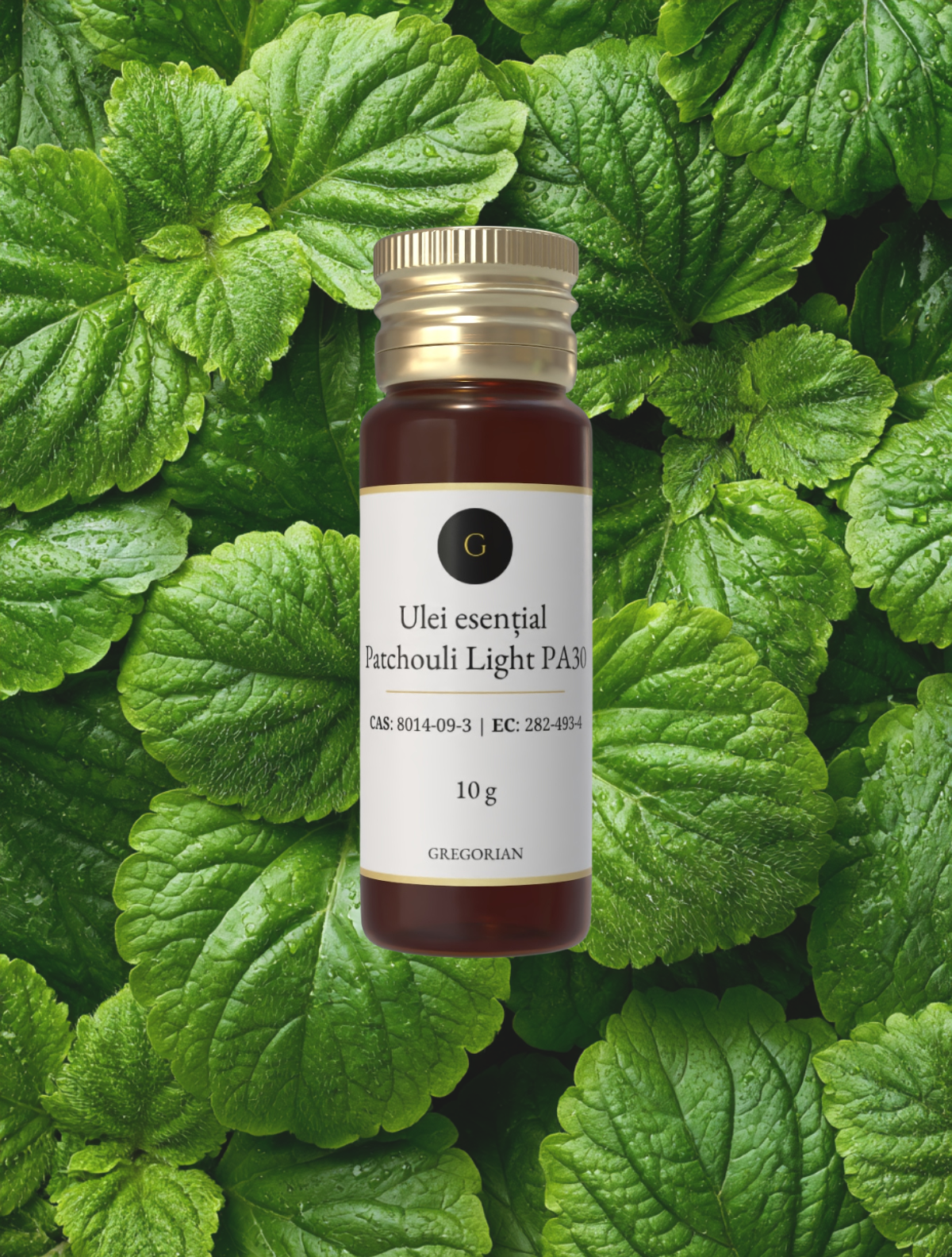 Ulei esențial Patchouli Light PA30 pentru parfumerie, sticluță de 10 g pe frunze verzi de patchouli